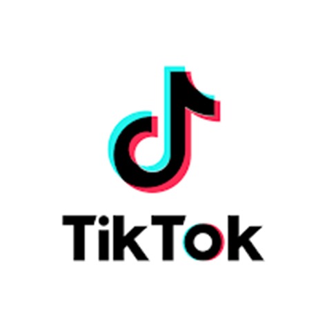 Mosaic Live Client Logo - TikTok